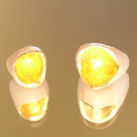 �K���o�m�E�Z���~�b�N�X