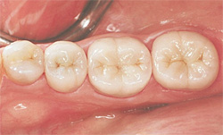 �R�����ȏǗ�